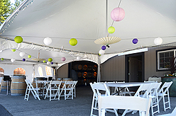 DREAM VISION FUNDRAISER FOR JAPAN RELIEF AT THE MATTHEWS WINERY